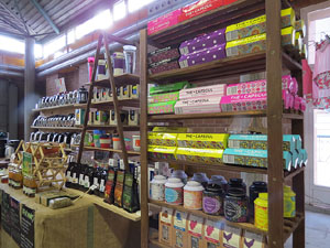 Eco.Si 2015. Fira de la cultura ecol&ograve;gica de Girona