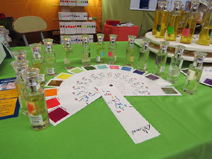 Eco.Si 2015. Fira de la cultura ecol&ograve;gica de Girona