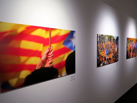 Exposici&oacute; Tossudament a la Casa de Cultura de Girona. Concert per la llibertat, Camp Nou 29 de juny de 2013