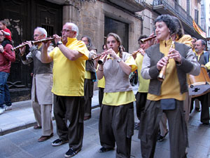 Cercavila a càrrec del grup Fal·lera Gironina