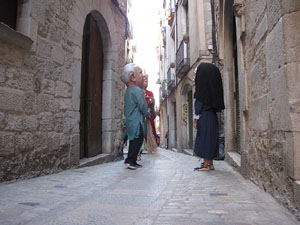 Cercavila a càrrec del grup Fal·lera Gironina