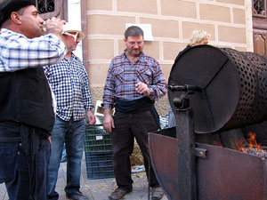 11a. Fira del Bolet i Cuina del Bolet a Llagostera