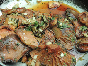 11a. Fira del Bolet i Cuina del Bolet a Llagostera