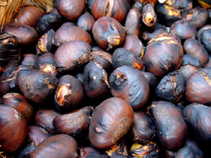 11a. Fira del Bolet i Cuina del Bolet a Llagostera