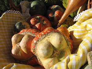 11a. Fira del Bolet i Cuina del Bolet a Llagostera