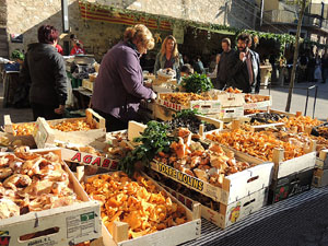 11a. Fira del Bolet i Cuina del Bolet a Llagostera