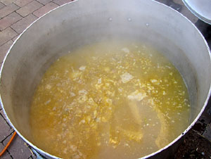 11a. Fira del Bolet i Cuina del Bolet a Llagostera