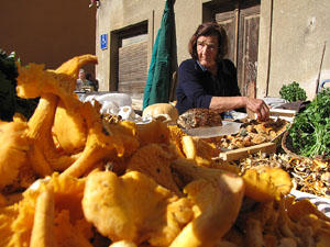 11a. Fira del Bolet i Cuina del Bolet a Llagostera