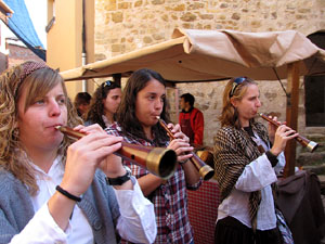 11a. Fira del Bolet i Cuina del Bolet a Llagostera