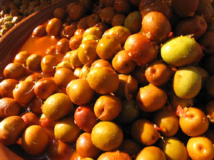 11a. Fira del Bolet i Cuina del Bolet a Llagostera