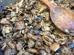 11a. Fira del Bolet i Cuina del Bolet a Llagostera