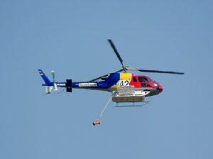 Incendi forestal darrere Les Pedreres