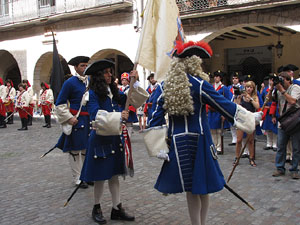Clavetejat de la bandera a la pla&ccedil;a del Vi