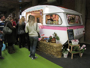 Sal&oacute; Tot Nuvis 2013