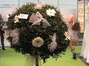 Sal&oacute; Tot Nuvis 2013