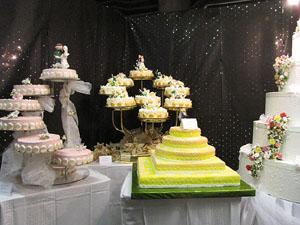 Sal&oacute; Tot Nuvis 2013