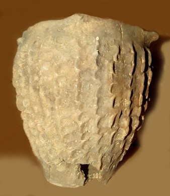 Olla decorada. Edat del Bronze