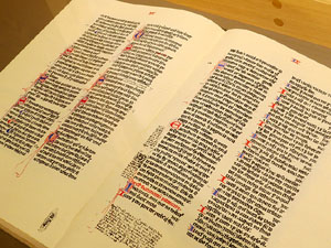 Exposici&oacute; Llegat. Paisatge hum&agrave; dels Calls al Museu d'Hist&ograve;ria dels Jueus de Girona