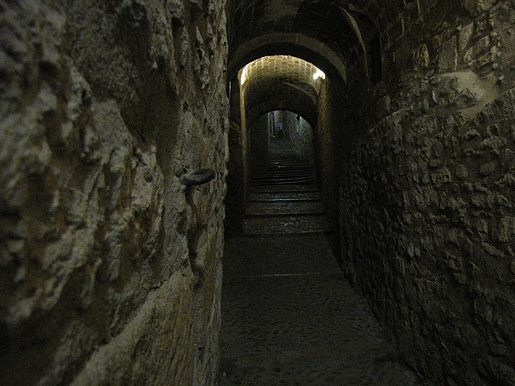 El carrer de Sant Llorenç, en ple call gironí