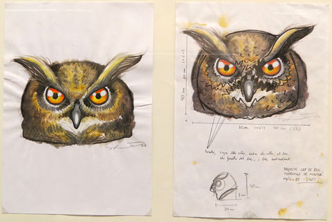 Projecte del capgr&ograve;s Duc de Torroella de Montgr&iacute;. 2007