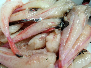 Taller de cuina a l'Aula gastron&ograve;mica del Mercat del Lle&oacute;. El suquet, de la teoria a la pr&agrave;ctica, a c&agrave;rrec d'Abraham Simon-Ferr&eacute;