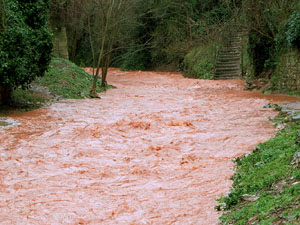La crescuda del Galligants el dijous 23 de gener 2020 a conseqüència del temporal Gloria