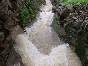 La crescuda del Galligants el dijous 23 de gener 2020 a conseqüència del temporal Gloria