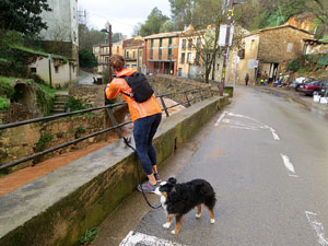 La crescuda del Galligants el dijous 23 de gener 2020 a conseqüència del temporal Gloria
