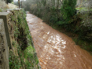La crescuda del Galligants el dijous 23 de gener 2020 a conseqüència del temporal Gloria