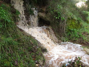 La crescuda del Galligants el dijous 23 de gener 2020 a conseqüència del temporal Gloria
