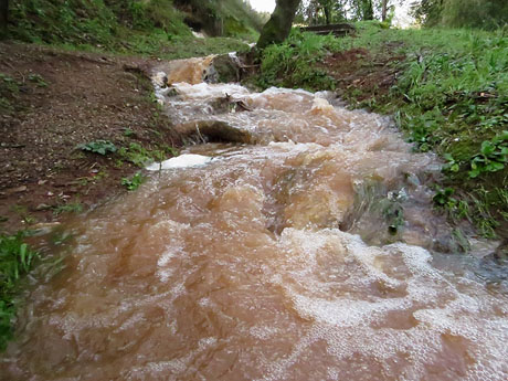 La crescuda del Galligants el dijous 23 de gener 2020