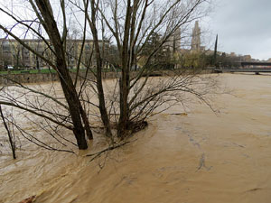 La crescuda de l'Onyar el dimecres 22 de gener 2020 a conseqüència del temporal Gloria
