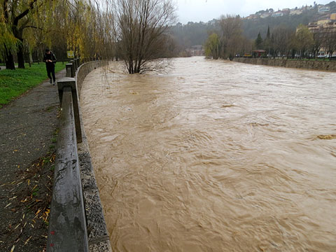 Aiguabarreig de l'Onyar i el Ter a Pedret. (22/01/2020)