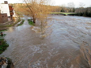 La crescuda del Ter el dijous 23 de gener 2020 a conseqüència del temporal Gloria