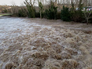 La crescuda del Ter el dijous 23 de gener 2020 a conseqüència del temporal Gloria