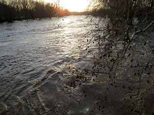 La crescuda del Ter el dijous 23 de gener 2020 a conseqüència del temporal Gloria