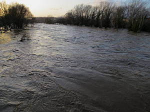 La crescuda del Ter el dijous 23 de gener 2020 a conseqüència del temporal Gloria