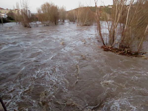 La crescuda del Ter el dijous 23 de gener 2020 a conseqüència del temporal Gloria