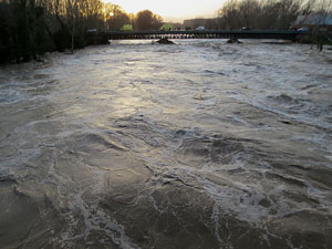 La crescuda del Ter el dijous 23 de gener 2020 a conseqüència del temporal Gloria