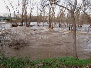 La crescuda del Ter el dijous 23 de gener 2020 a conseqüència del temporal Gloria