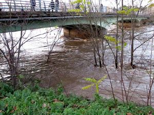 La crescuda del Ter el dijous 23 de gener 2020 a conseqüència del temporal Gloria
