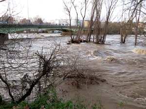 La crescuda del Ter el dijous 23 de gener 2020 a conseqüència del temporal Gloria