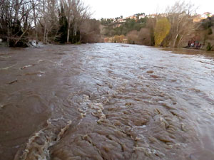 La crescuda del Ter el dijous 23 de gener 2020 a conseqüència del temporal Gloria