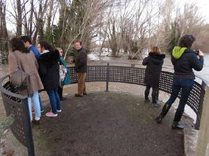 La crescuda del Ter el dijous 23 de gener 2020 a conseqüència del temporal Gloria