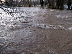 La crescuda del Ter el dijous 23 de gener 2020 a conseqüència del temporal Gloria
