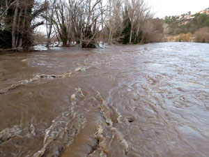 La crescuda del Ter el dijous 23 de gener 2020 a conseqüència del temporal Gloria