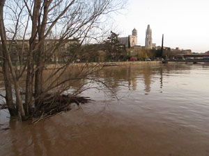 La crescuda del Ter el dijous 23 de gener 2020 a conseqüència del temporal Gloria