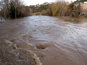 La crescuda del Ter el dijous 23 de gener 2020 a conseqüència del temporal Gloria
