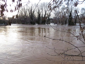 La crescuda del Ter el dijous 23 de gener 2020 a conseqüència del temporal Gloria