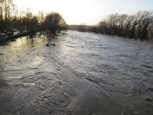 La crescuda del Ter el dijous 23 de gener 2020 a conseqüència del temporal Gloria